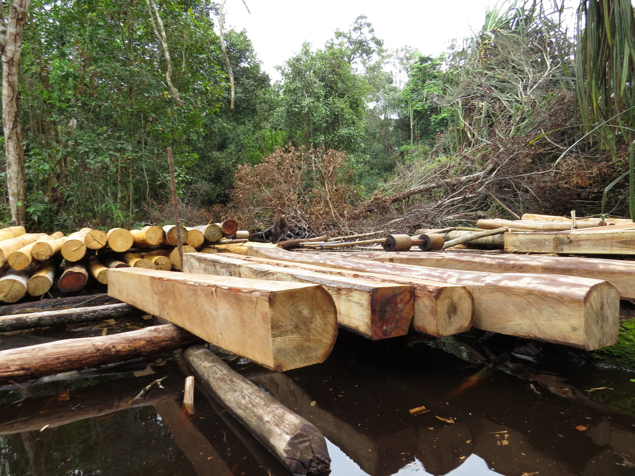 IMG_0846-scaled-1.jpg?w=1333&h=1000&scale