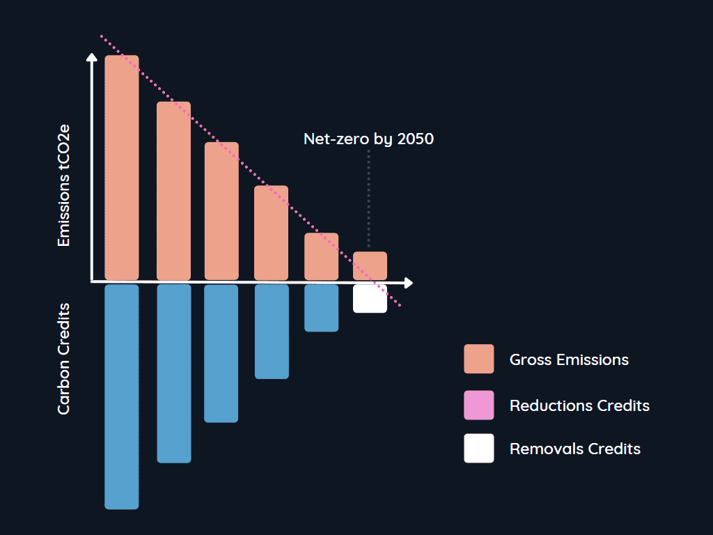 Net-Zero-by-2050
